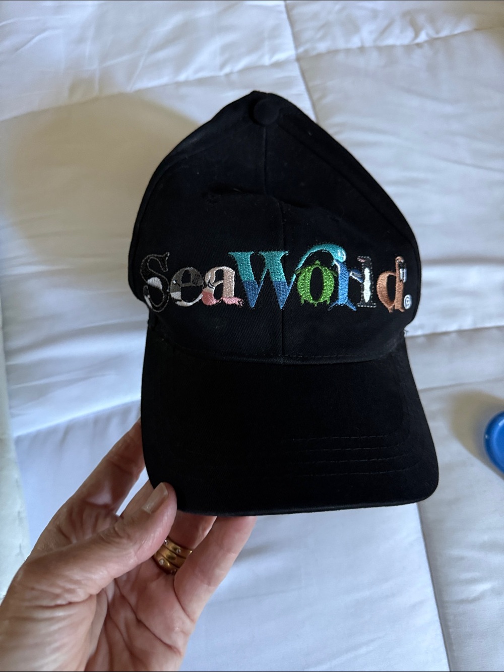 Black Embroidered Logo Baseball Cap
